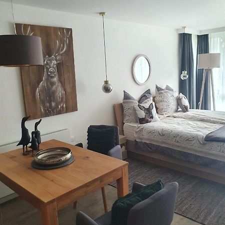 Maurers Schlierseetraum 6, Studio 455 Mit 42 Qm Neu Renoviert, Erdgeschoss Mit Eingezaeunter Terrasse In Ruhiger Lage Am Kirchbichlweg 8 Luaran gambar