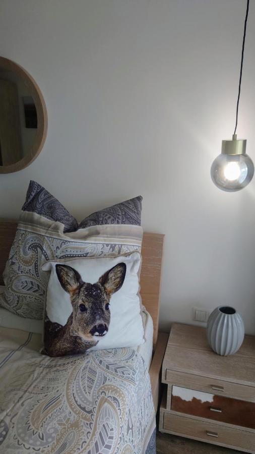 Maurers Schlierseetraum 6, Studio 455 Mit 42 Qm Neu Renoviert, Erdgeschoss Mit Eingezaeunter Terrasse In Ruhiger Lage Am Kirchbichlweg 8 Luaran gambar