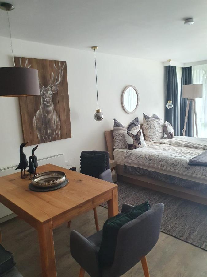 Maurers Schlierseetraum 6, Studio 455 Mit 42 Qm Neu Renoviert, Erdgeschoss Mit Eingezaeunter Terrasse In Ruhiger Lage Am Kirchbichlweg 8 Luaran gambar