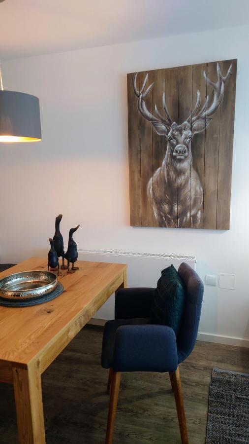 Maurers Schlierseetraum 6, Studio 455 Mit 42 Qm Neu Renoviert, Erdgeschoss Mit Eingezaeunter Terrasse In Ruhiger Lage Am Kirchbichlweg 8 Luaran gambar